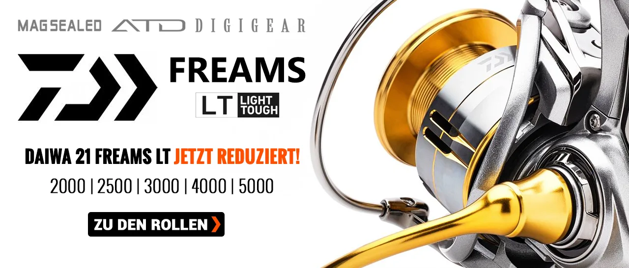 Verschiedene Modelle reduziert!