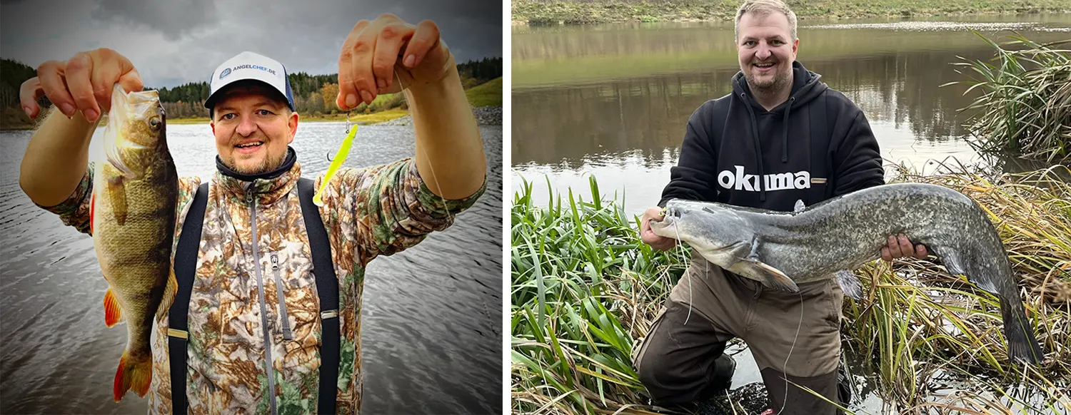 CrushCity Barsch und Waller