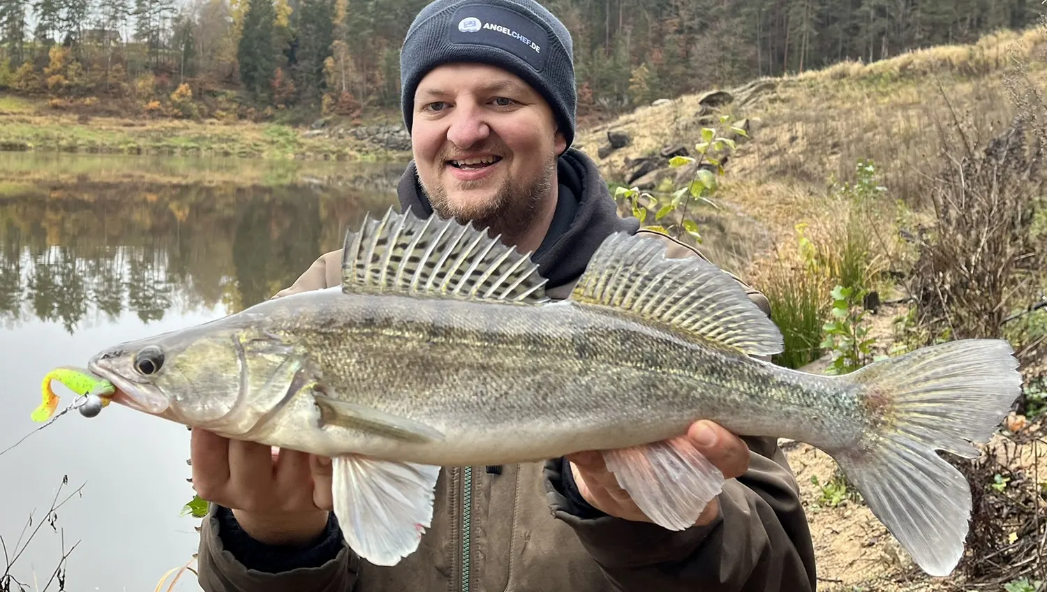 CrushCity Zander