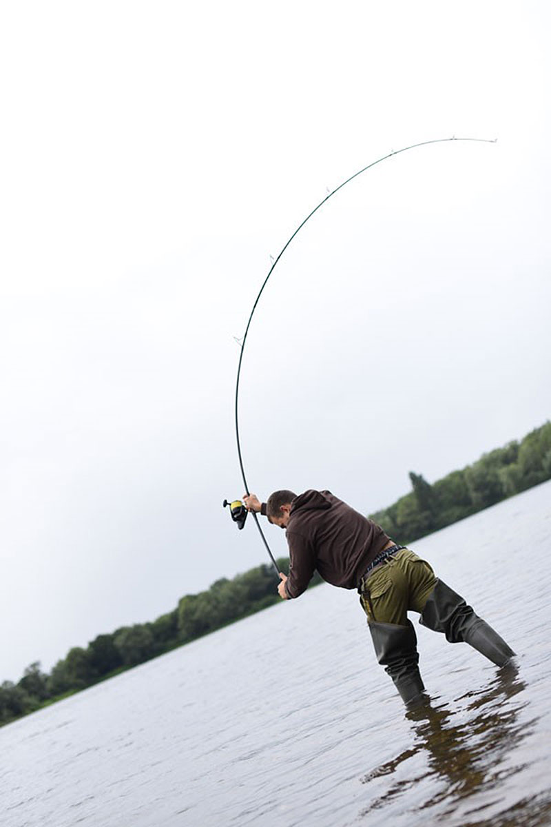 Die optimale Rutenlänge
