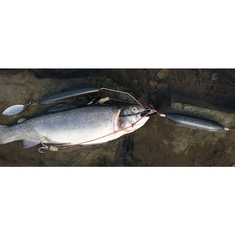 Zeck Backpack System S 20g für toten Köderfisch