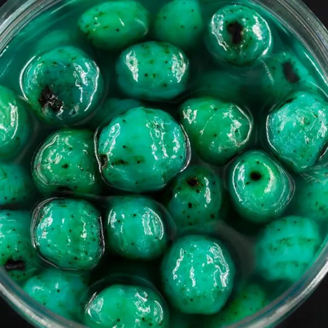 My-Baits RainbowSix Fluoro Tiger Nuts Mulberry Blue Blau