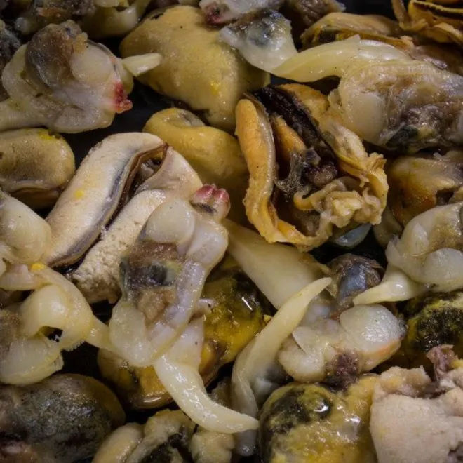 My-Baits Hemp-Buckwheat Mix Green Lipped Monster 3 Liter