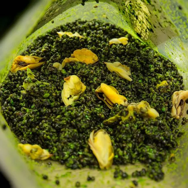 My-Baits Hemp-Buckwheat Mix Green Lipped Monster 3 Liter