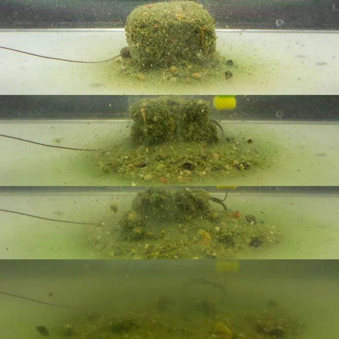 My-Baits Active Stick Mix Freaking-Insect