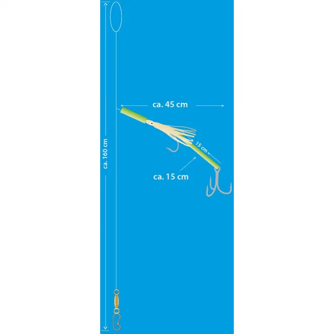 Aquantic Seehecht Rig