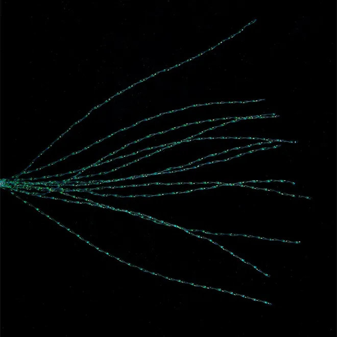 Balzer Hollow Dancer 6 cm Minnow