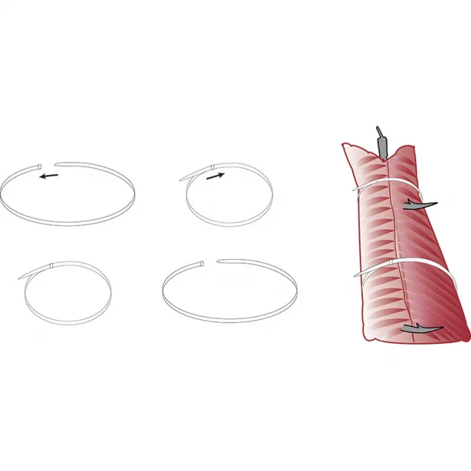 Balzer 71° North Naturköderbinder