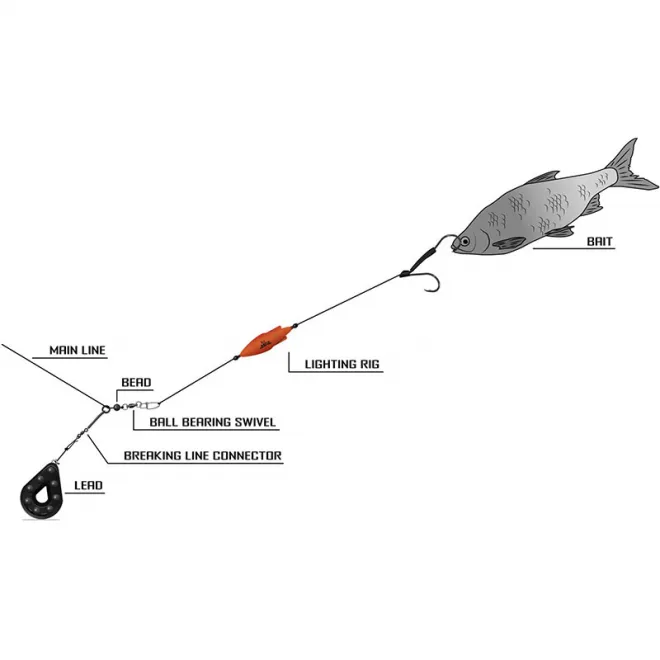 Black Cat Lighting Rig