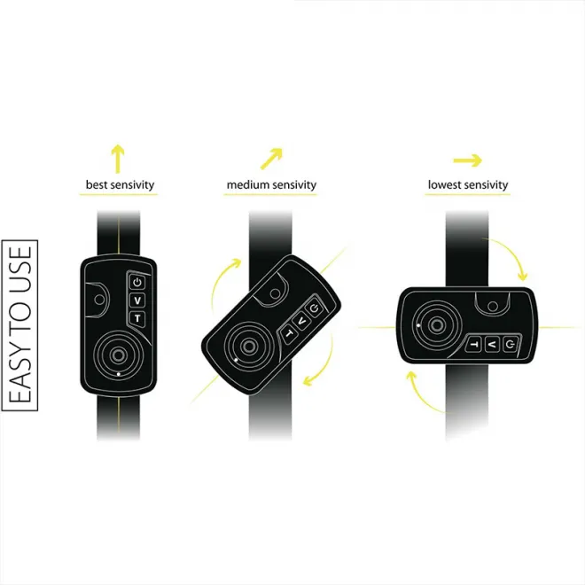 Black Cat Passion Pro Alarm