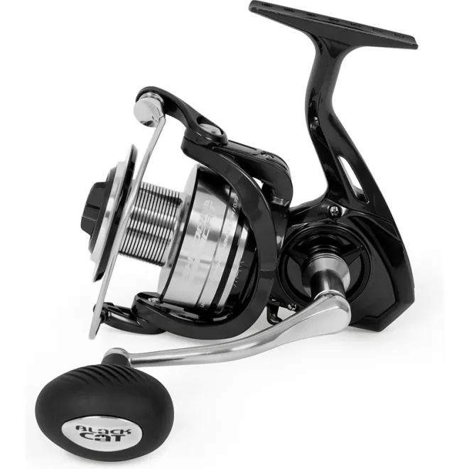 Black Cat Shadow Cat 6500