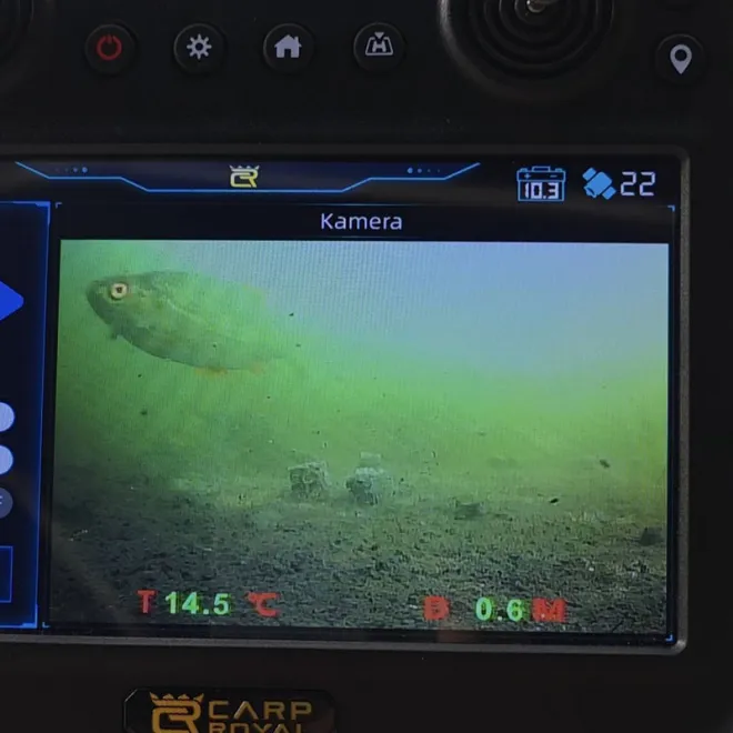 Carp Royal Falcon mit elektrischer Futterschleuder und Kamera