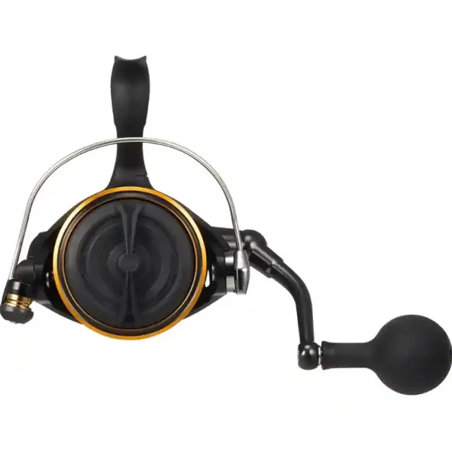 DAIWA 26 BG SW8000-P