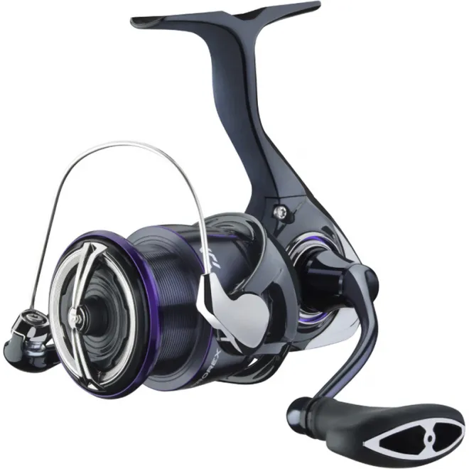 DAIWA 25 Prorex V LT3000-CXH