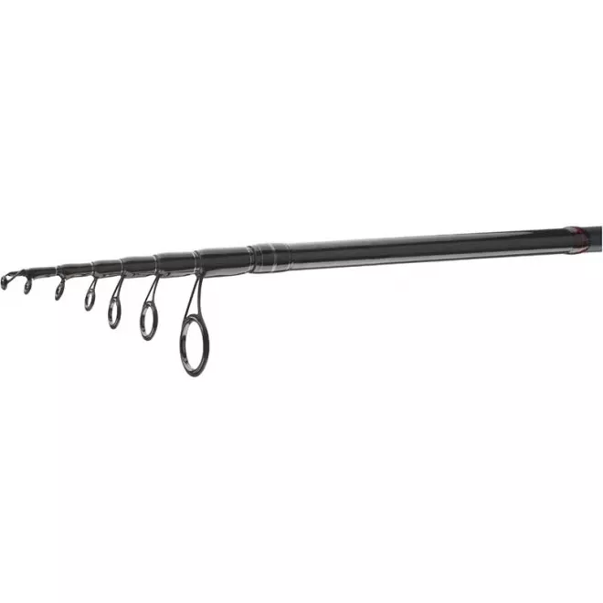 DAIWA Ninja X-Compact Spin 2,45 m 15-50 g