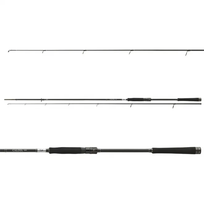 DAIWA Caldia Spin 2,40 m 30-70 g
