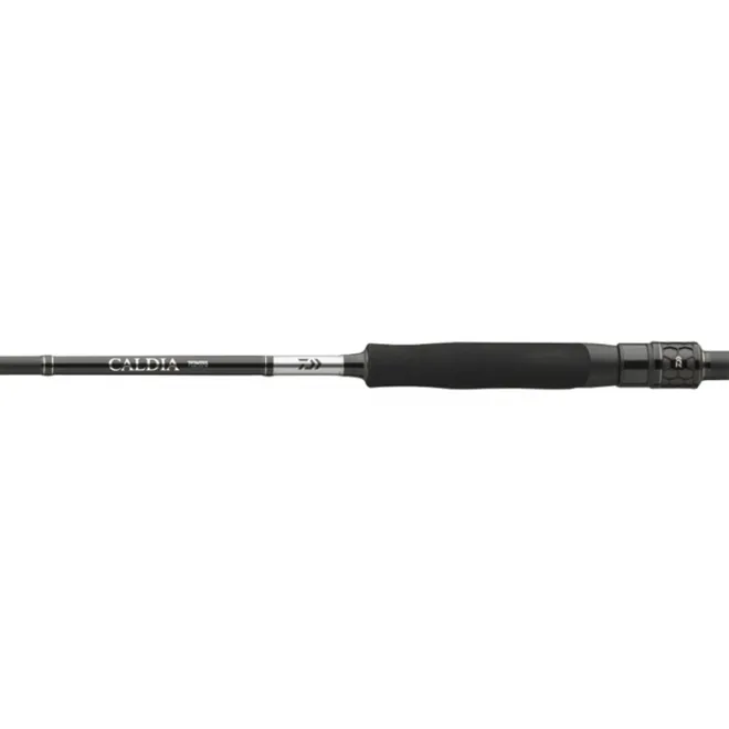 DAIWA Caldia Sensor Spin 2,10 m 3-10 g