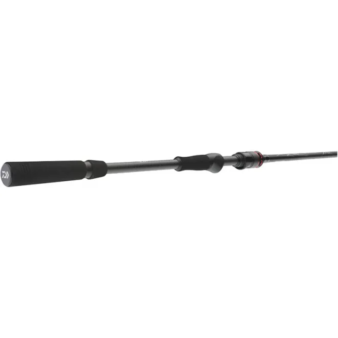 DAIWA Ballistic Air 2,70 m 14-42 g