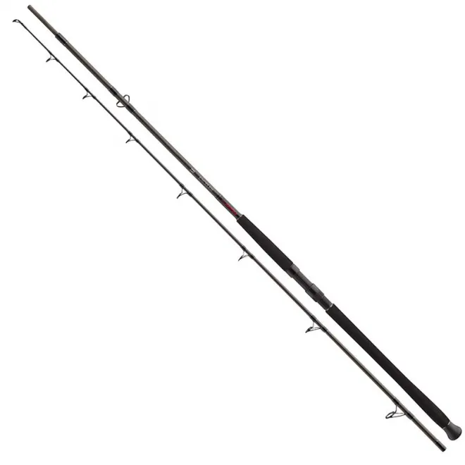 DAIWA Exceler Catfish Boje 2,70 m 200-600 g