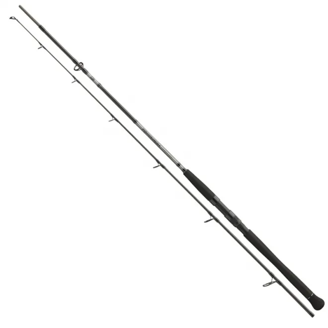 DAIWA Powermesh Catfish Spin 2,70 m 135 g