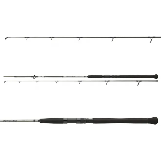 DAIWA Powermesh Catfish Spin 2,70 m 135 g
