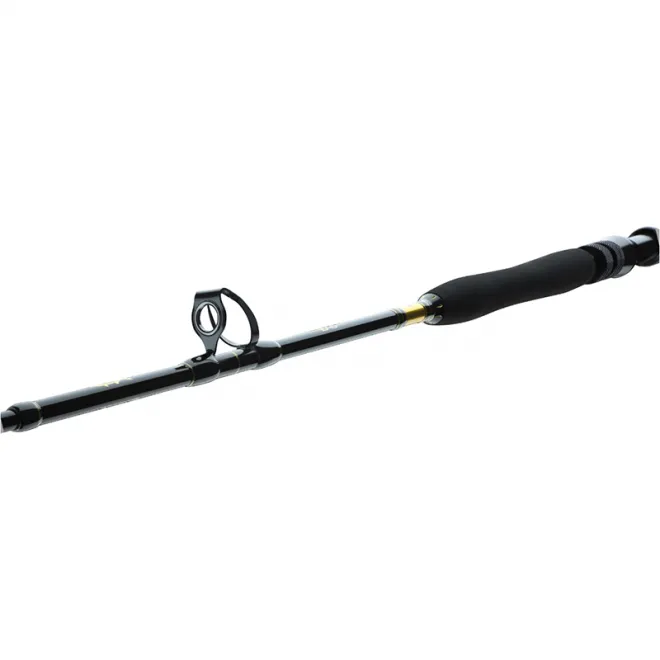 DAIWA BG Big Game 1,68 m 20-30 lb