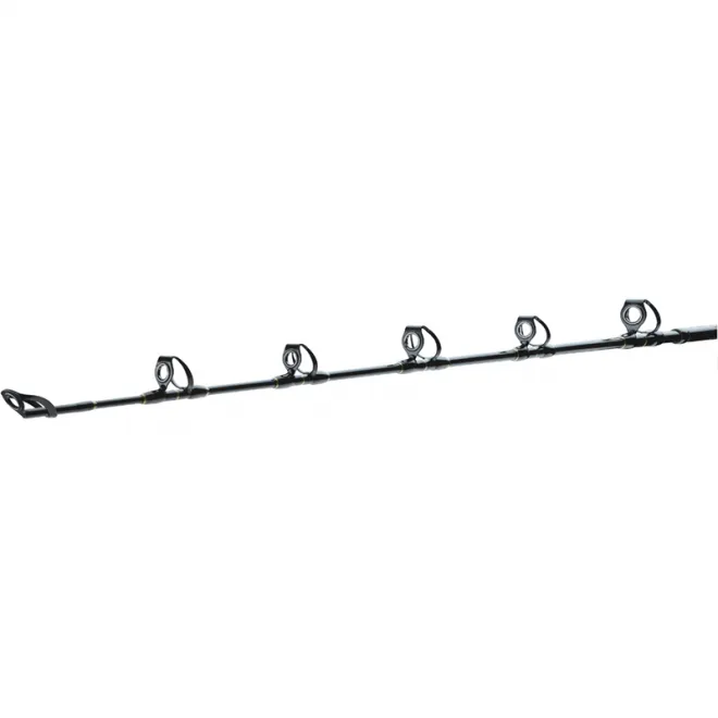 DAIWA BG Big Game 1,68 m 20-30 lb