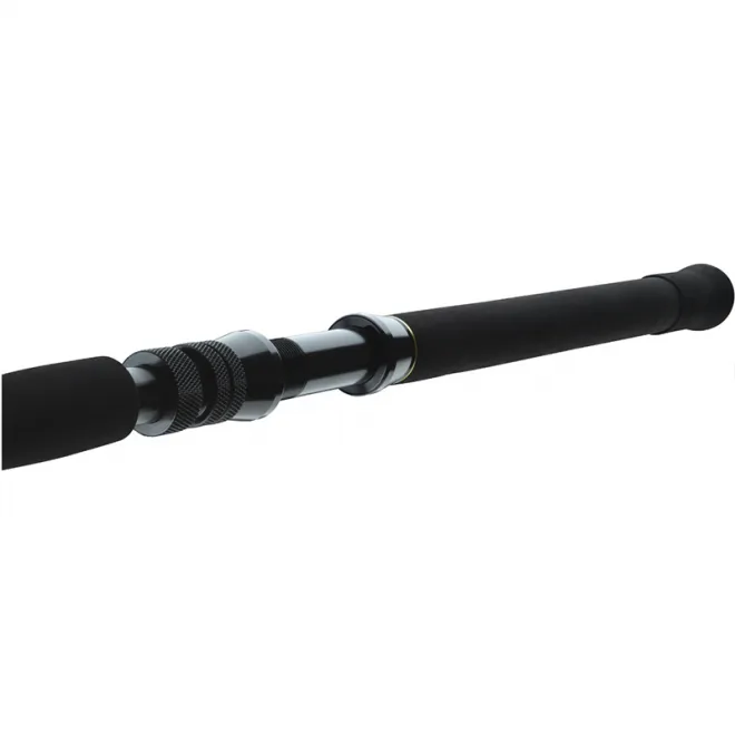 DAIWA BG Big Game 1,68 m 20-30 lb
