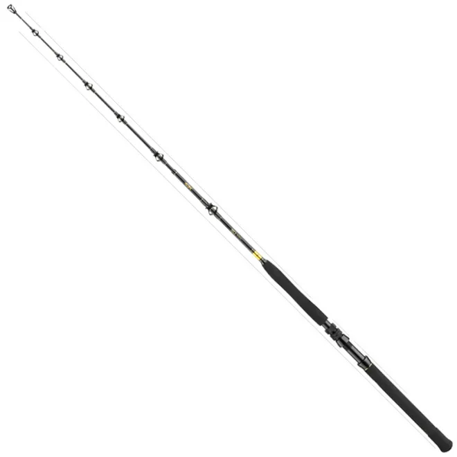 DAIWA BG Big Game 1,68 m 30-50 lb