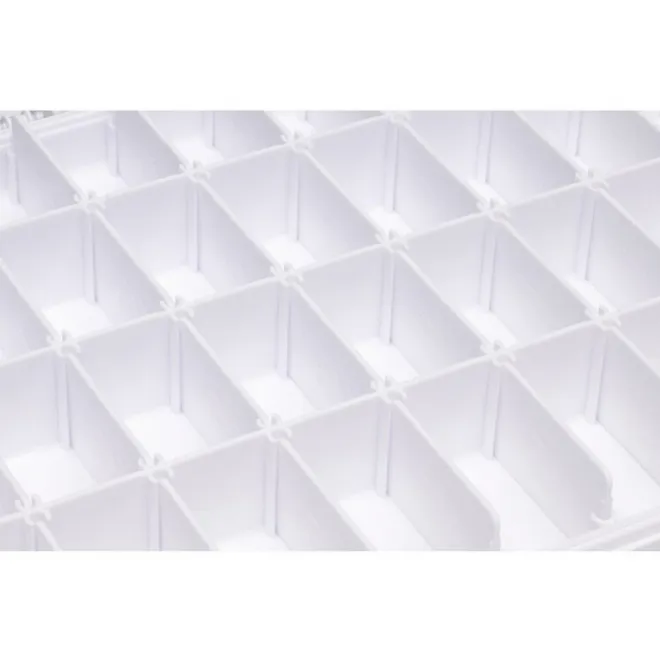 DAIWA D-BOX Medium Shallow