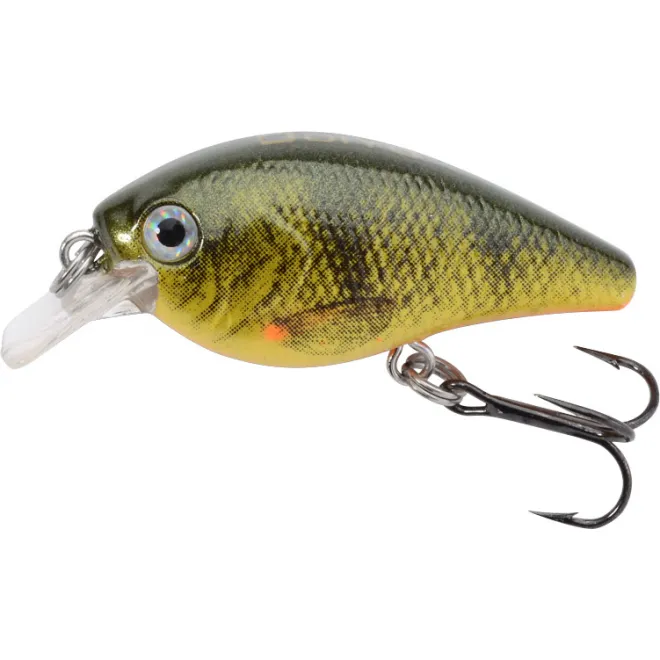 Doiyo Kobito 32 - SP