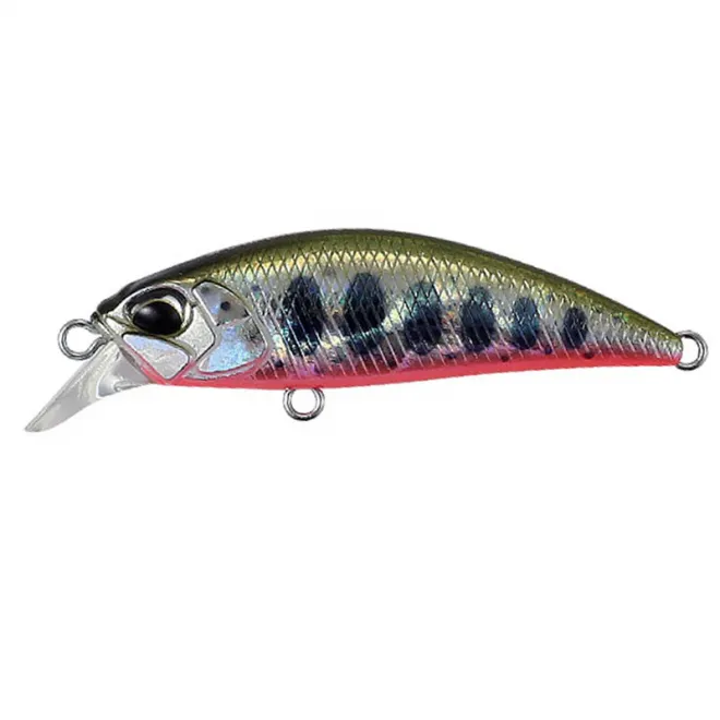 DUO Spearhead Ryuki 38S Yamame Red Belly