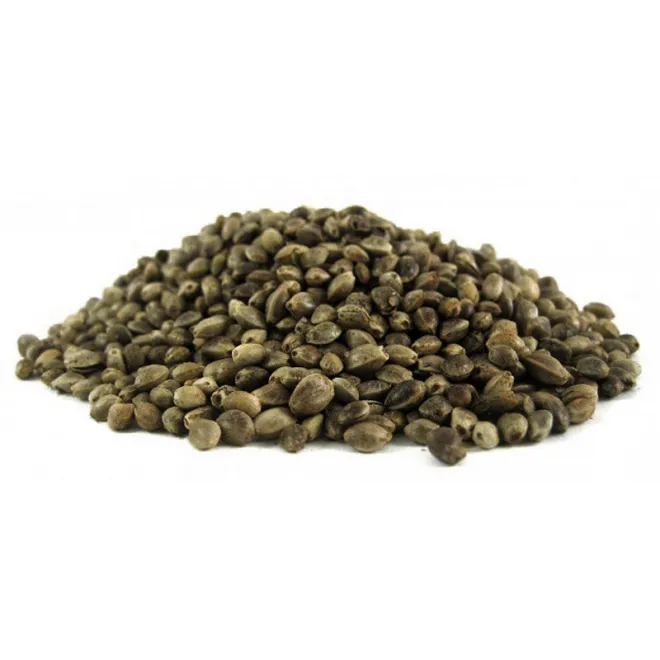 KL Angelsport Hanfsaat 5 kg im Beutel