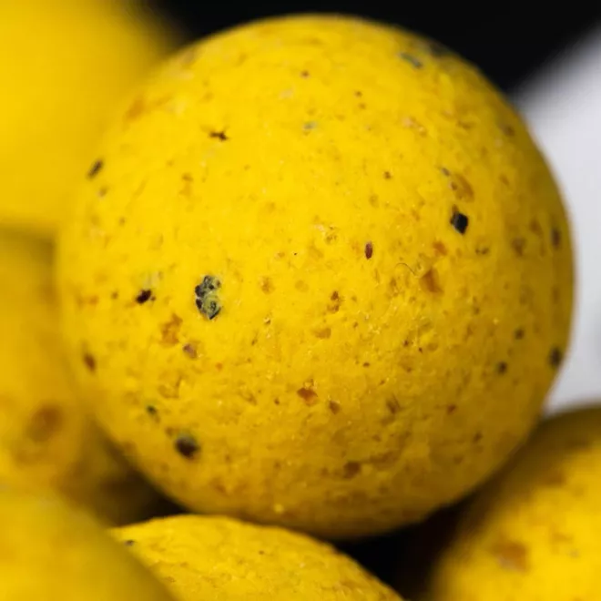 Mainline Baits Shelf Life Boilies Essential Cell 15 mm 1 kg