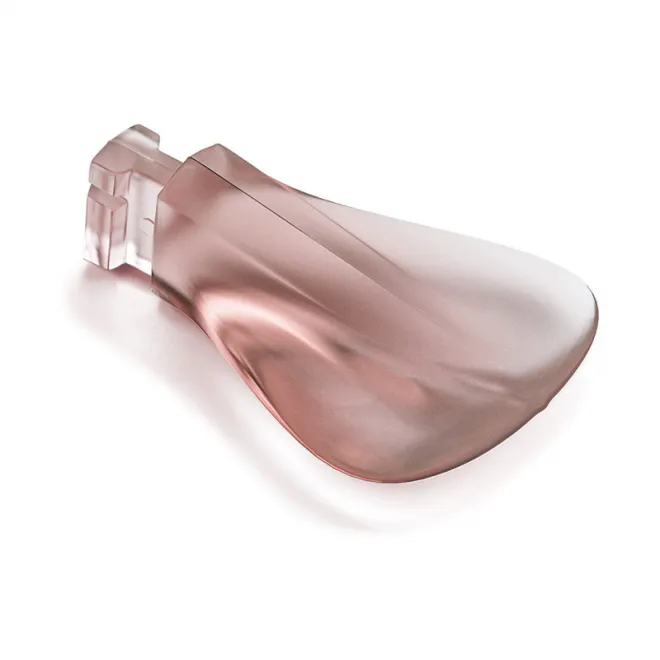 Nays TRN 190 Beaver Tail 3