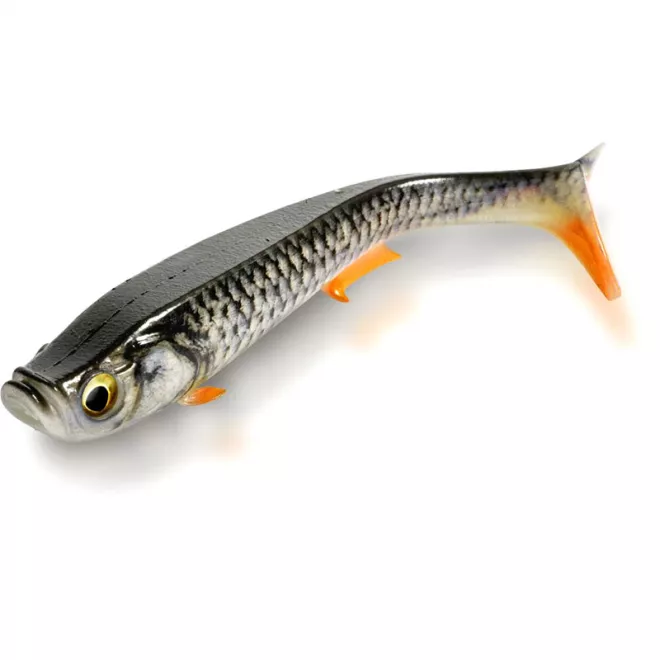 Quantum Tarp Shad 16 cm Real Roach 1 Stück
