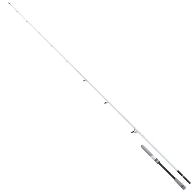 Shimano Stradic Spinning Seabass 2,18 m 5-25 g XF
