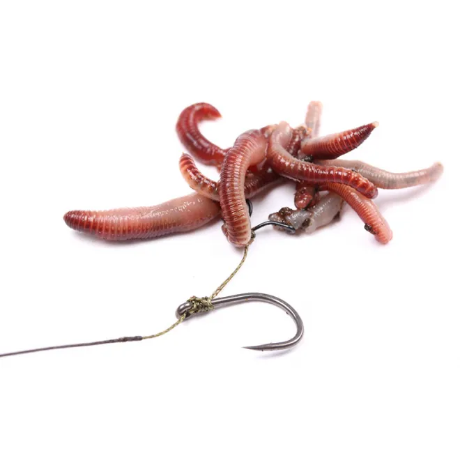 Nash Maggot Clips Small