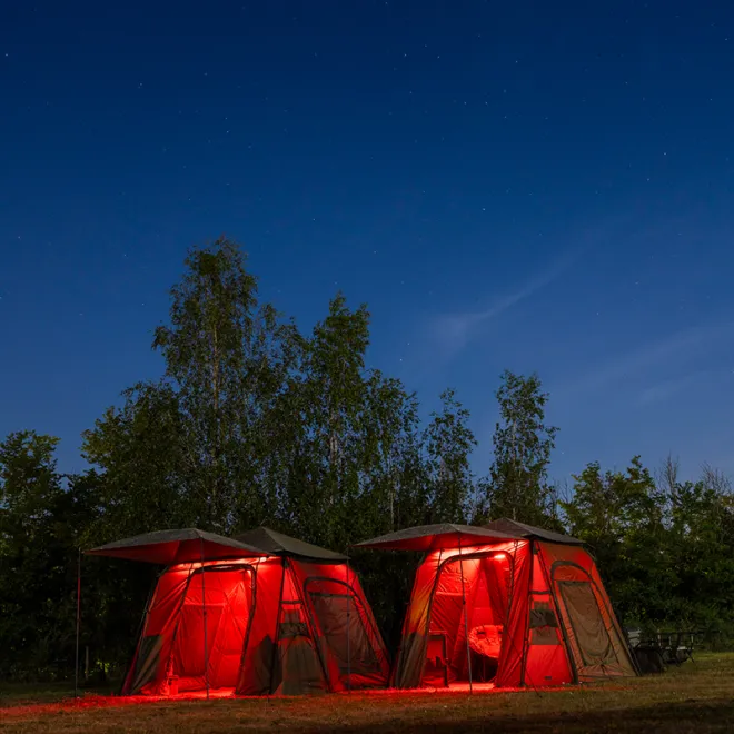 Trakker Gazebo Pro XL Nitelife Vapour Shield