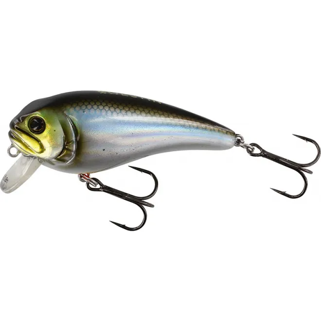 Westin Fatbite 55 F Blueback Herring