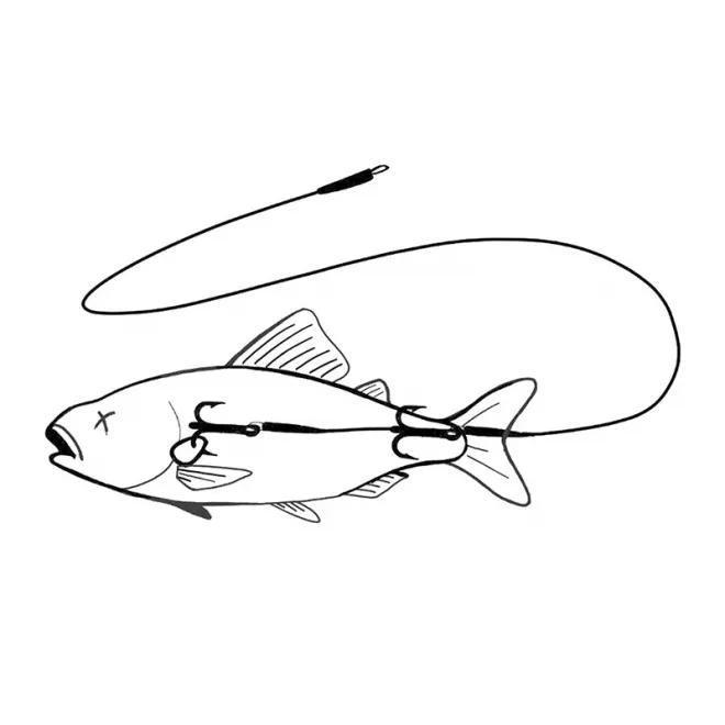 Zeck Fishing Twin Treble 80 cm #2 Rig