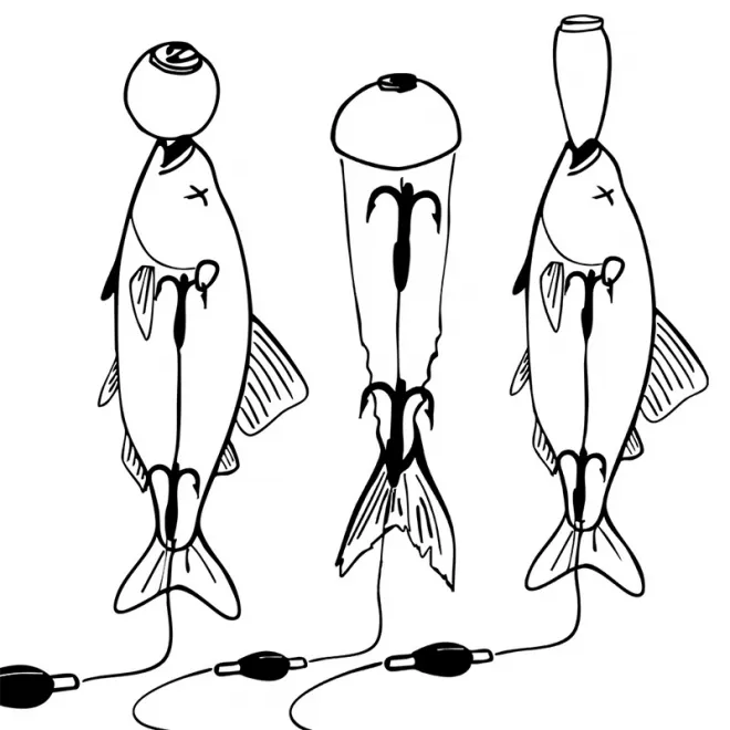 Zeck Fishing Pop Up Kit