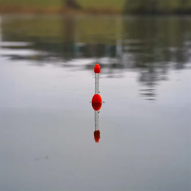 Zeck Fishing Light Waggler 10 g