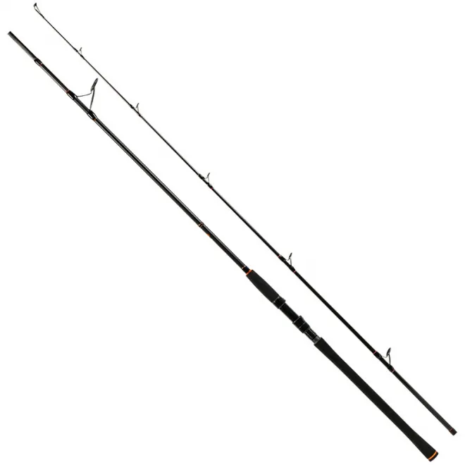 Zeck Fishing Big Stick 250 cm - 150 g