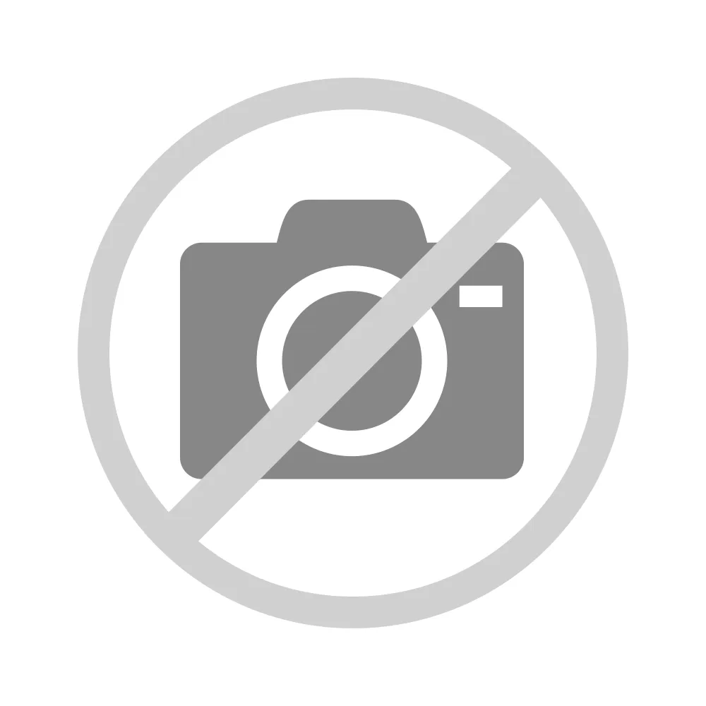 B&W International Bag2Zero Freezer Pack L -0°C B&W International Bag2Zero Freezer Pack L -0°C