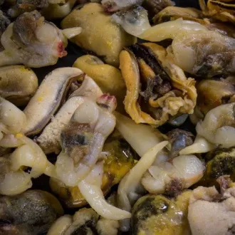 My-Baits Hemp-Buckwheat Mix Green Lipped Monster 3 Liter