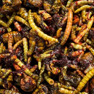 My-Baits Macromix Wormageddon 3 Liter