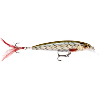 Rapala X-Rap 6 cm - Live Roach