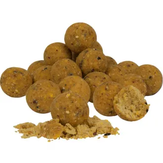 Avid Carp B8-Up Boilies 5 kg Cream 20 mm