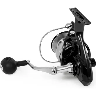 Black Cat Shadow Cat 6500